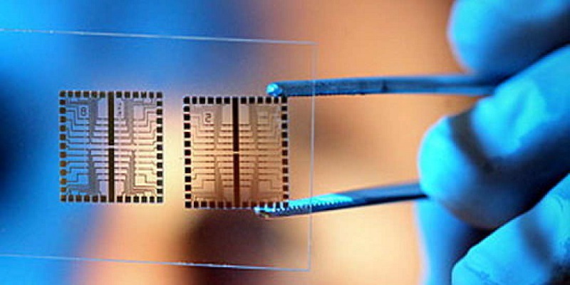 Biochips Market - Analysis & Consulting (2021-2027)