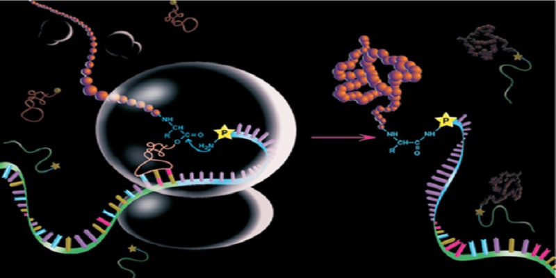 Proteomics Market - Analysis & Consulting (2018 - 2024)