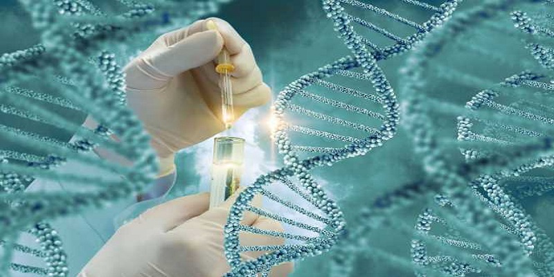 Molecular Diagnostics Market - Analysis & Consulting ( 2018 - 2024)