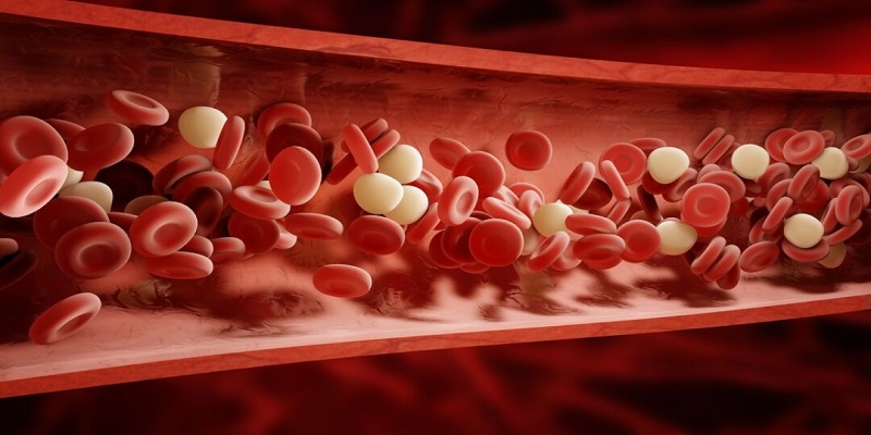 Anticoagulants Market - Analysis & Consulting (2019-2025)